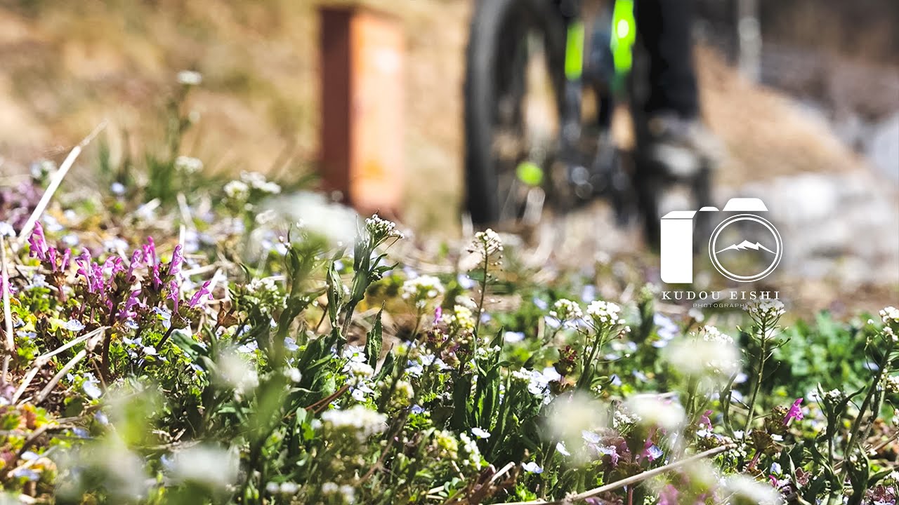 【風景写真】田舎の春 - 高台へのサイクリング | EOSR6