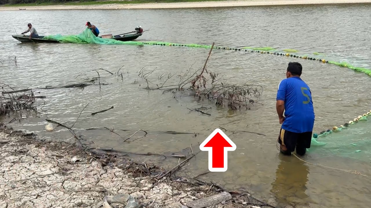 アマゾン河に沈む流木を網で囲って隠れた魚を全て引きずり出す