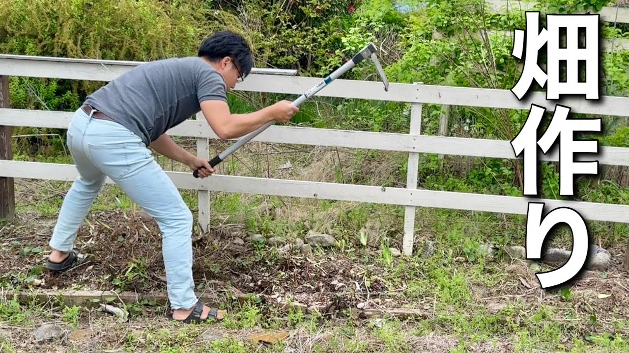 新居の庭をリクガメの餌を作る為の畑に改造します