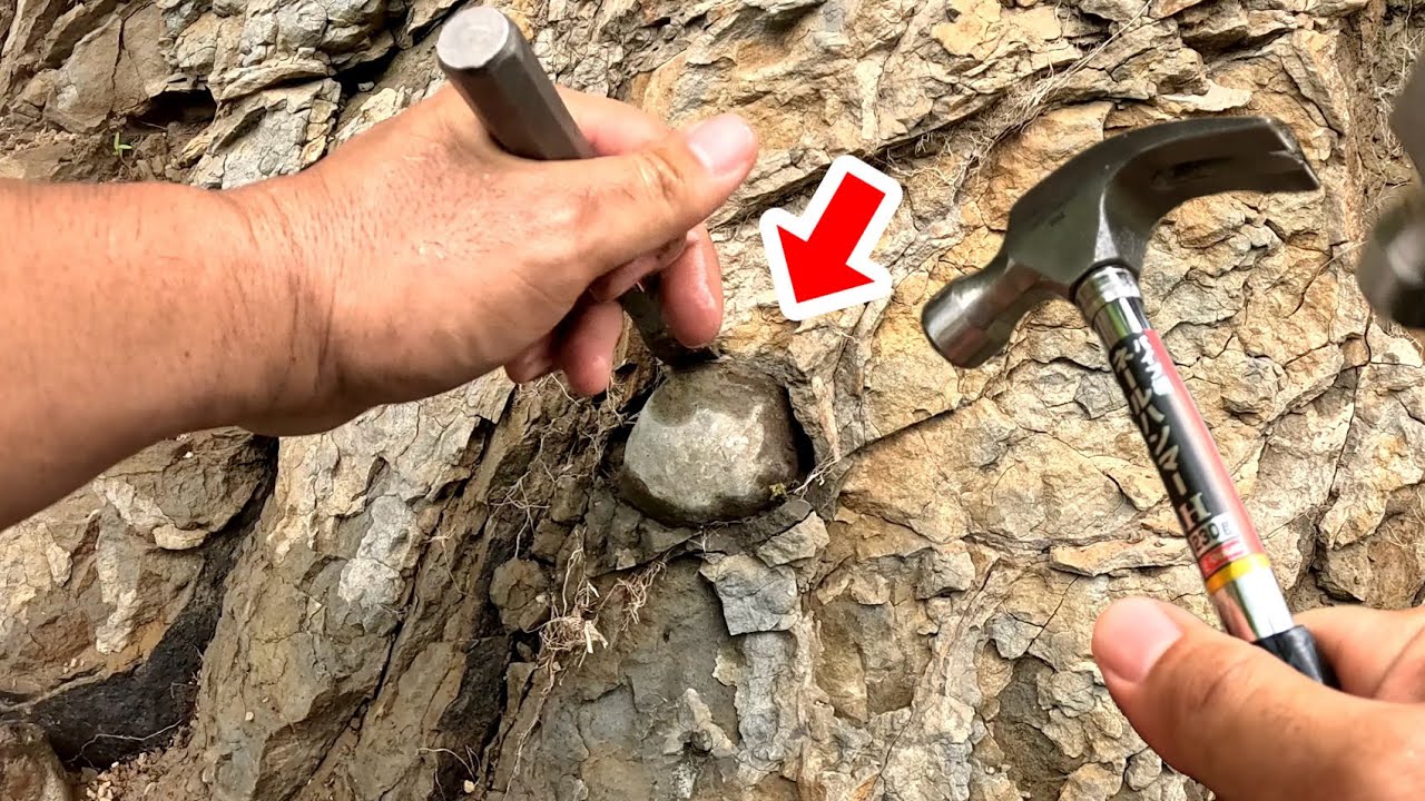 川岸に埋まった"丸い岩"を掘り出すと中から1億年前の化石が出て来ました