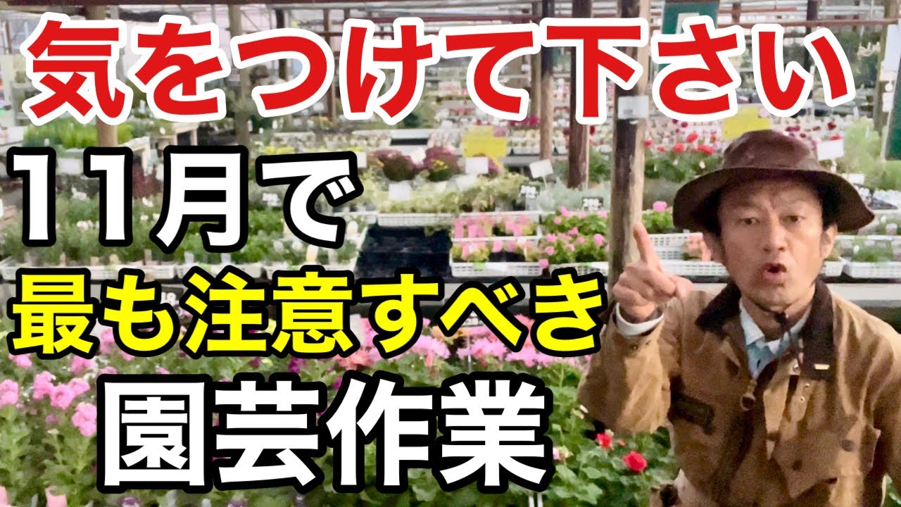 【早めにご覧下さい】今月から管理法ががらりと変わります【カーメン君】