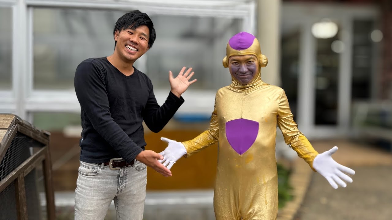 ゴールデンフリーザを飼い始めました