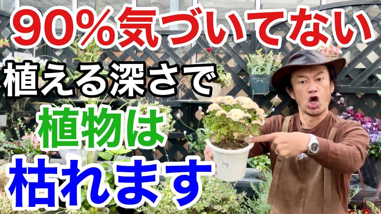 【ほとんど間違い】植物の正しい植え付け位置教えます【ウォータースペース】　　【園芸】【ガーデニング】【カーメン君】