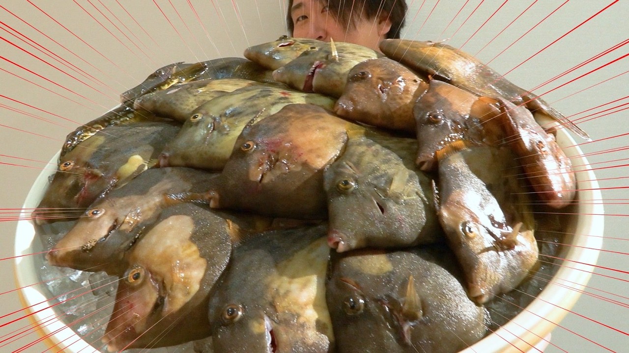 【水中映像あり】自分の船で釣りに行ったら肝ぱんカワハギが爆釣り！豪快料理にしてみた