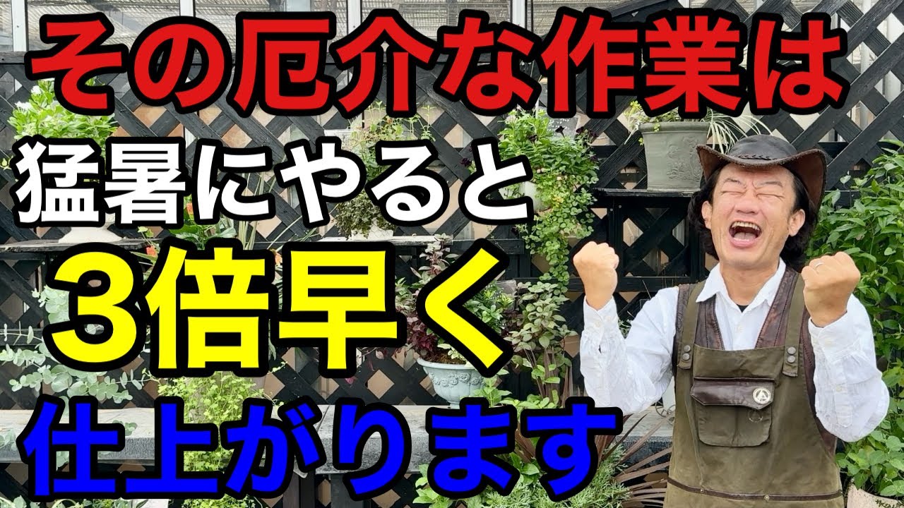 【やった人だけ得する】猛暑を利用するとこの作業が瞬く間に終わります8選　　　【カーメン君】【園芸】【ガーデニング】【初心者】