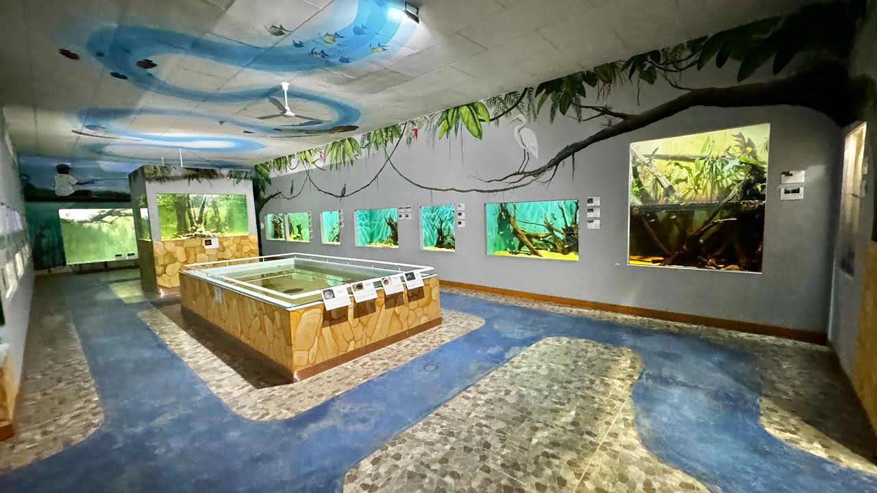 アマゾンから最も近い場所にある現地の水族館を案内します