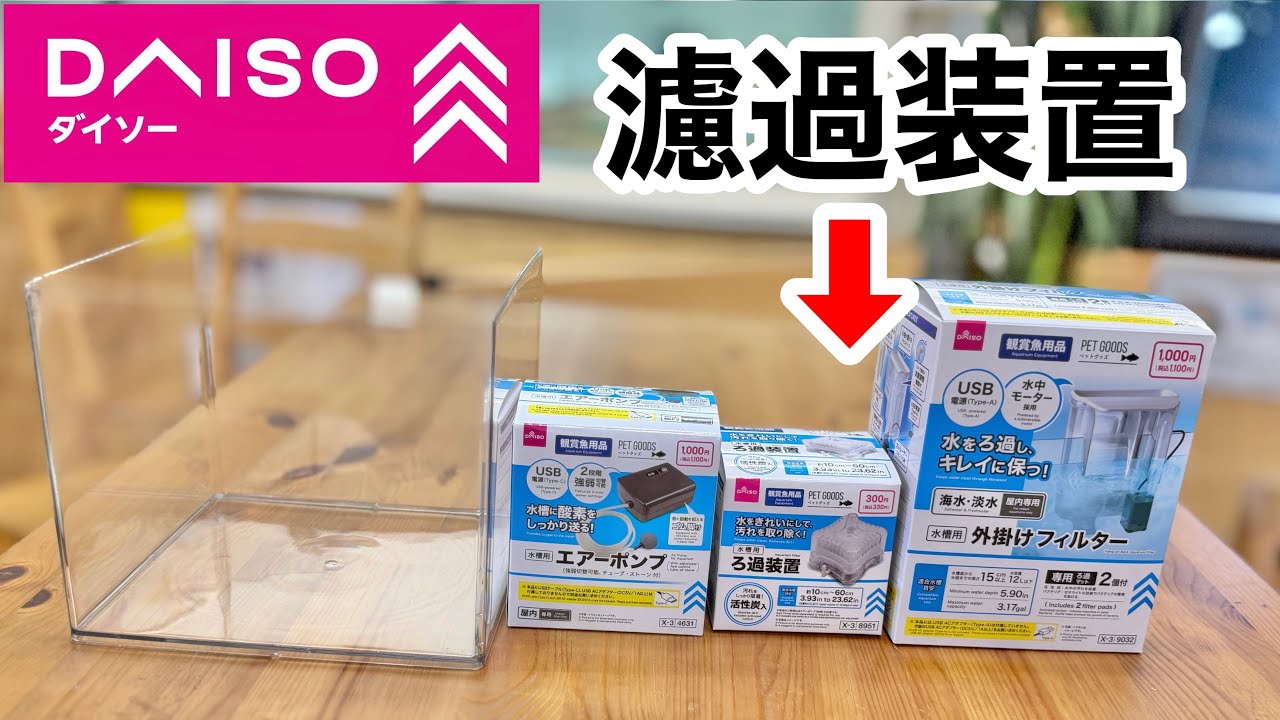 ダイソーで発売されたガチ過ぎるアクアリウム用品を徹底レビューします