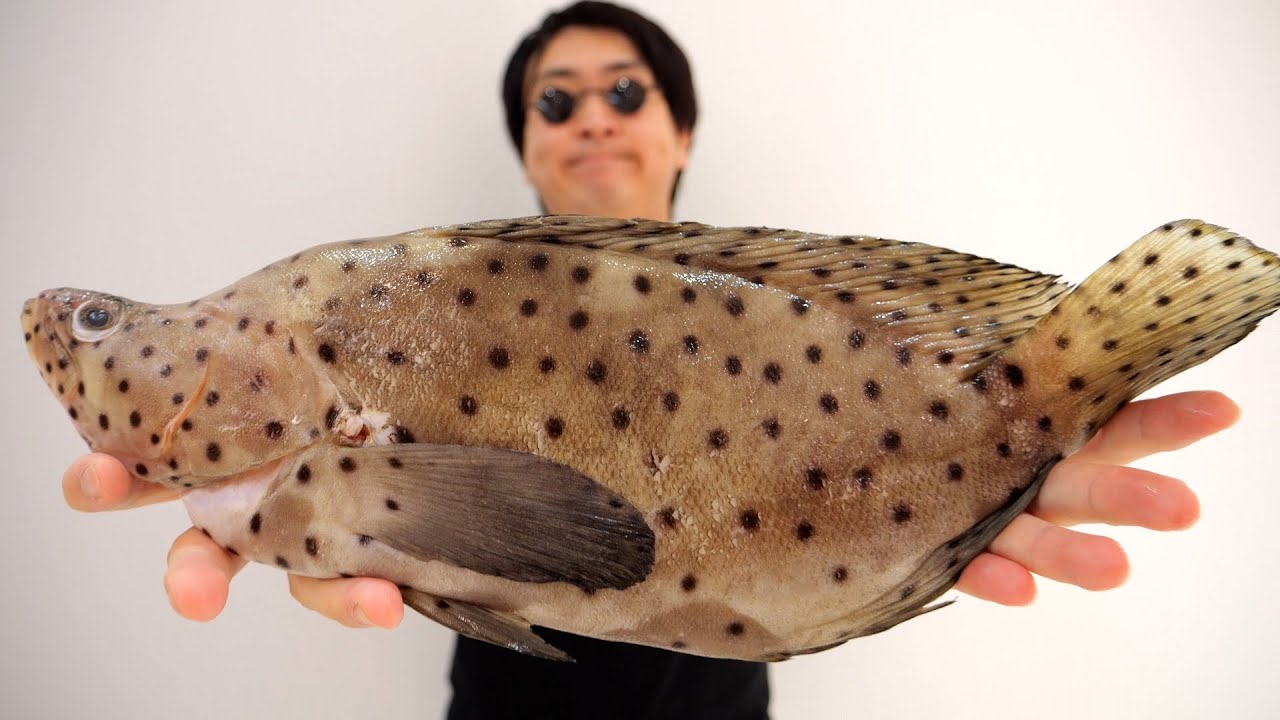 【6年探しました】過去最高にレアな魚が手に入ってしまいました。