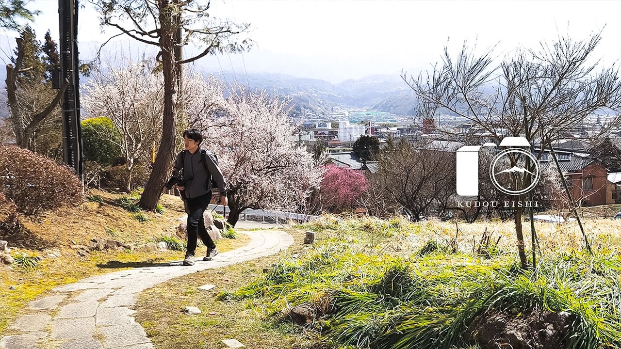【風景写真】満開の八重梅と春の風 - 野鳥 | EOSR6