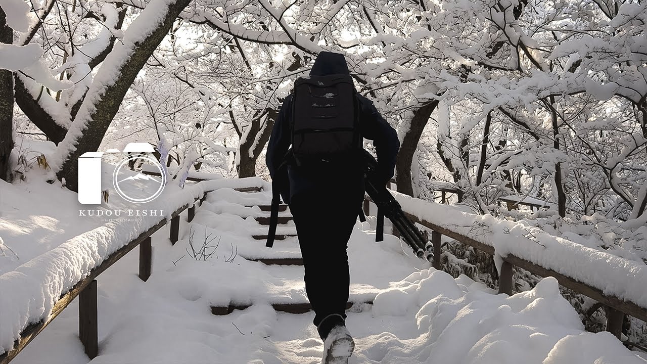 【風景写真】桜に雪が降り積もる冬の高遠城址公園| EOSR6