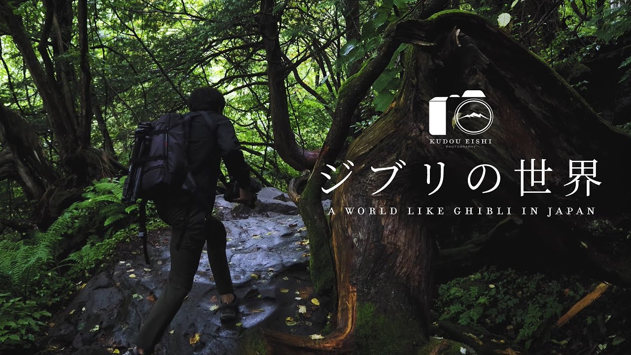 【風景写真】ジブリの世界。雨に煙る蓼科大滝と御射鹿池