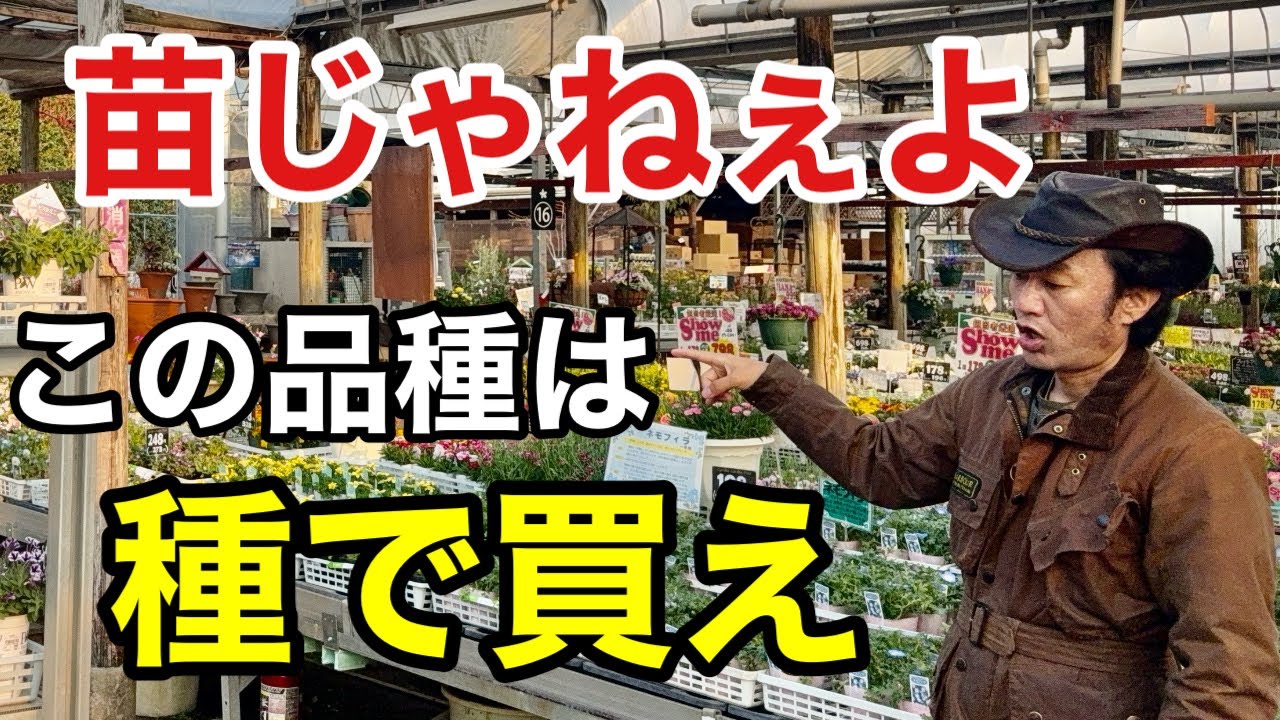 【ワンランク上】種から育てると極上に得する春夏の草花教えます　　　　【カーメン君】【園芸】【ガーデニング】【初心者】
