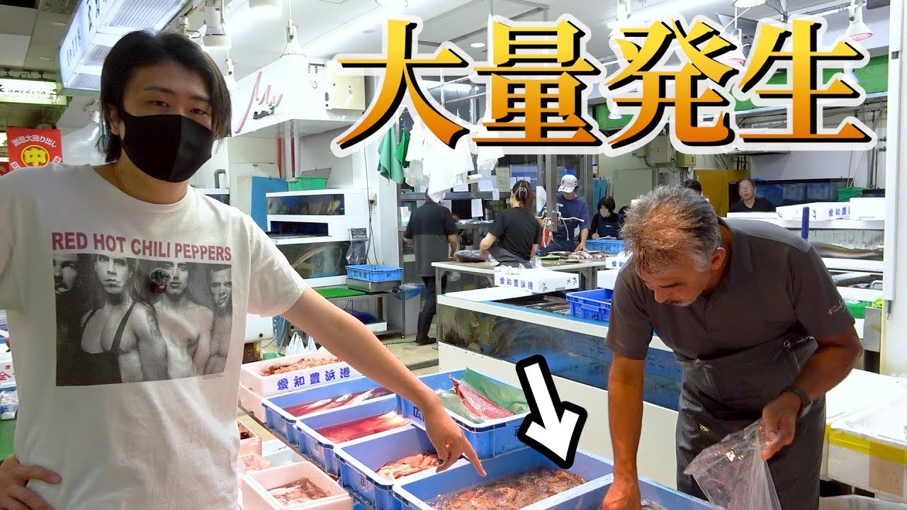 【9月オススメ】今、この魚は絶対食べてください！※サンマでは無いです。