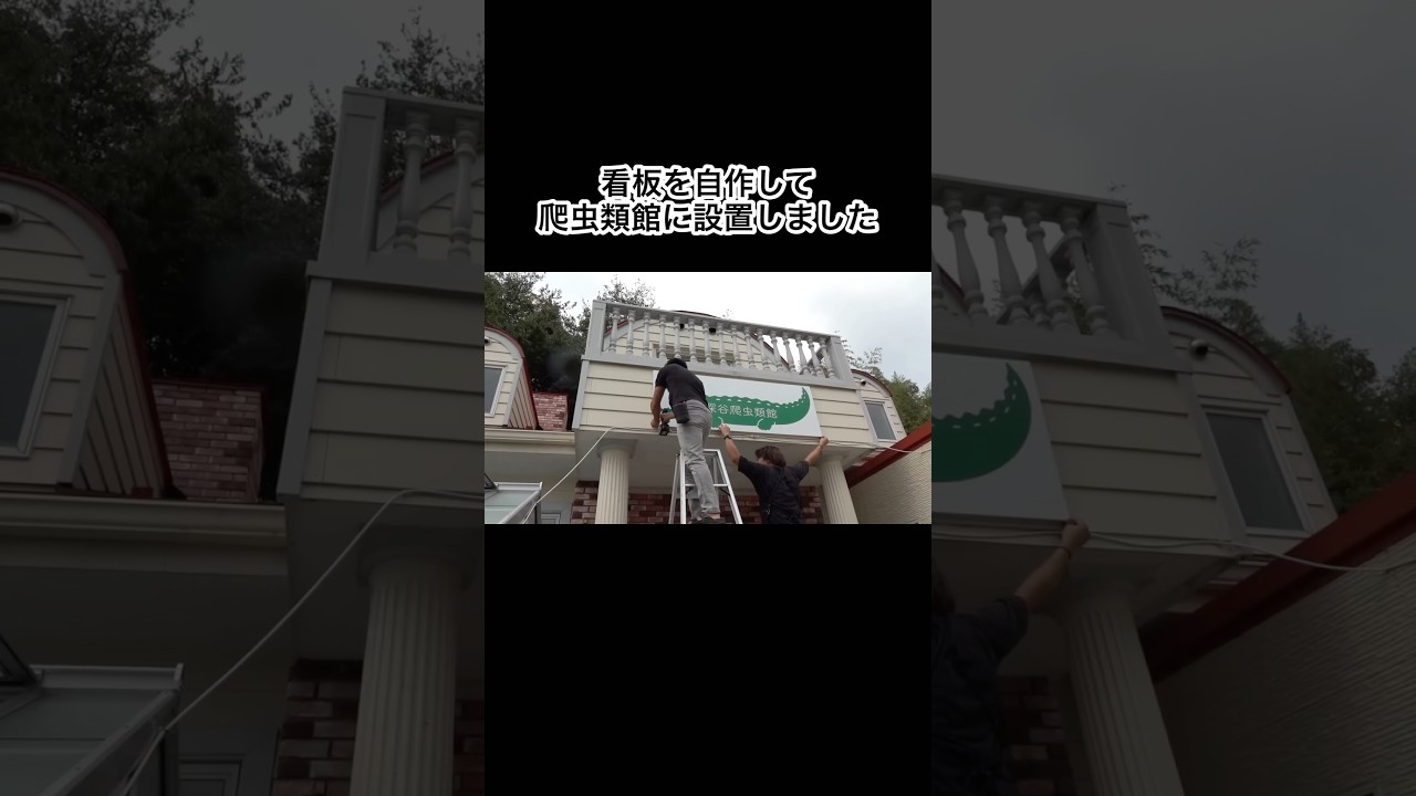 看板を自作して爬虫類館に設置しました　#shorts