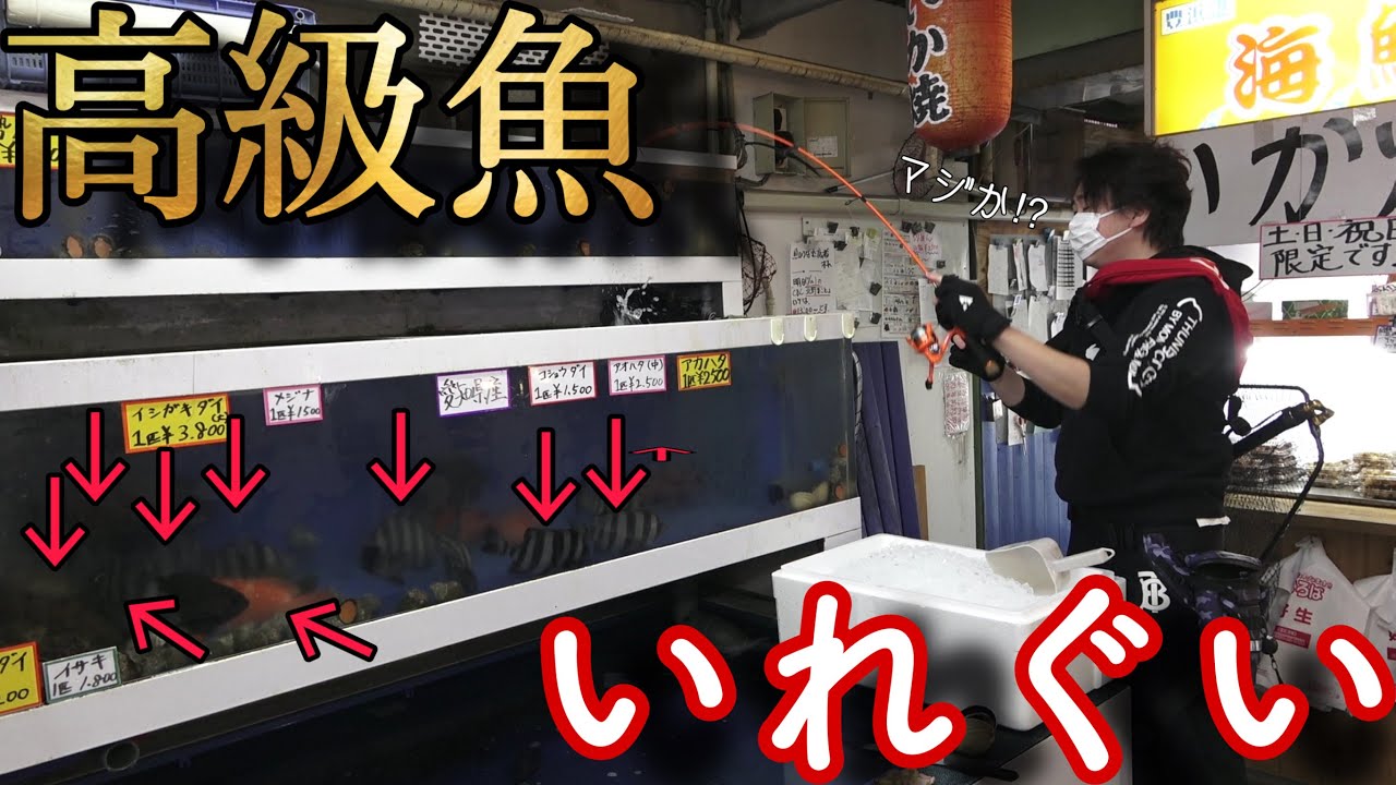 【魚ガチャ】魚屋さんの水槽で釣りしたら、高級魚が釣れすぎた！こんなん反則じゃん。