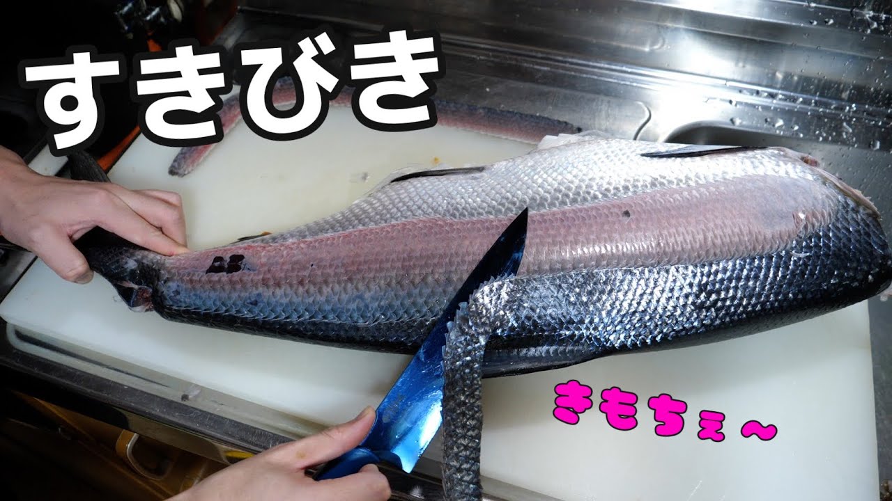 【究極のすき引き】全身骨だらけの謎の魚『ミルクフィッシュ』の全貌が明らかに！！