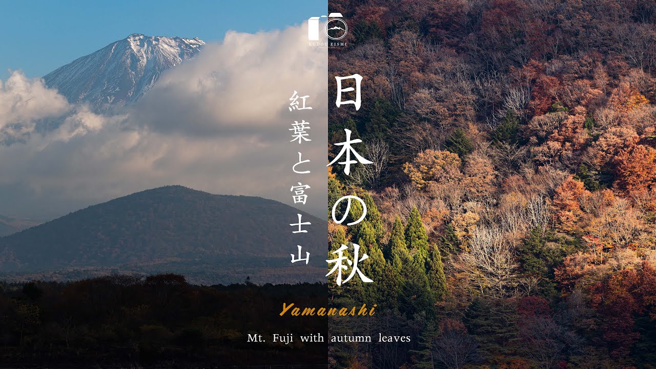 富士山と湖畔の秋景色。黄金に輝く紅葉旅｜山中湖・精進湖