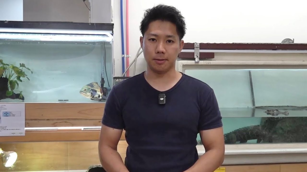 お久しぶりです