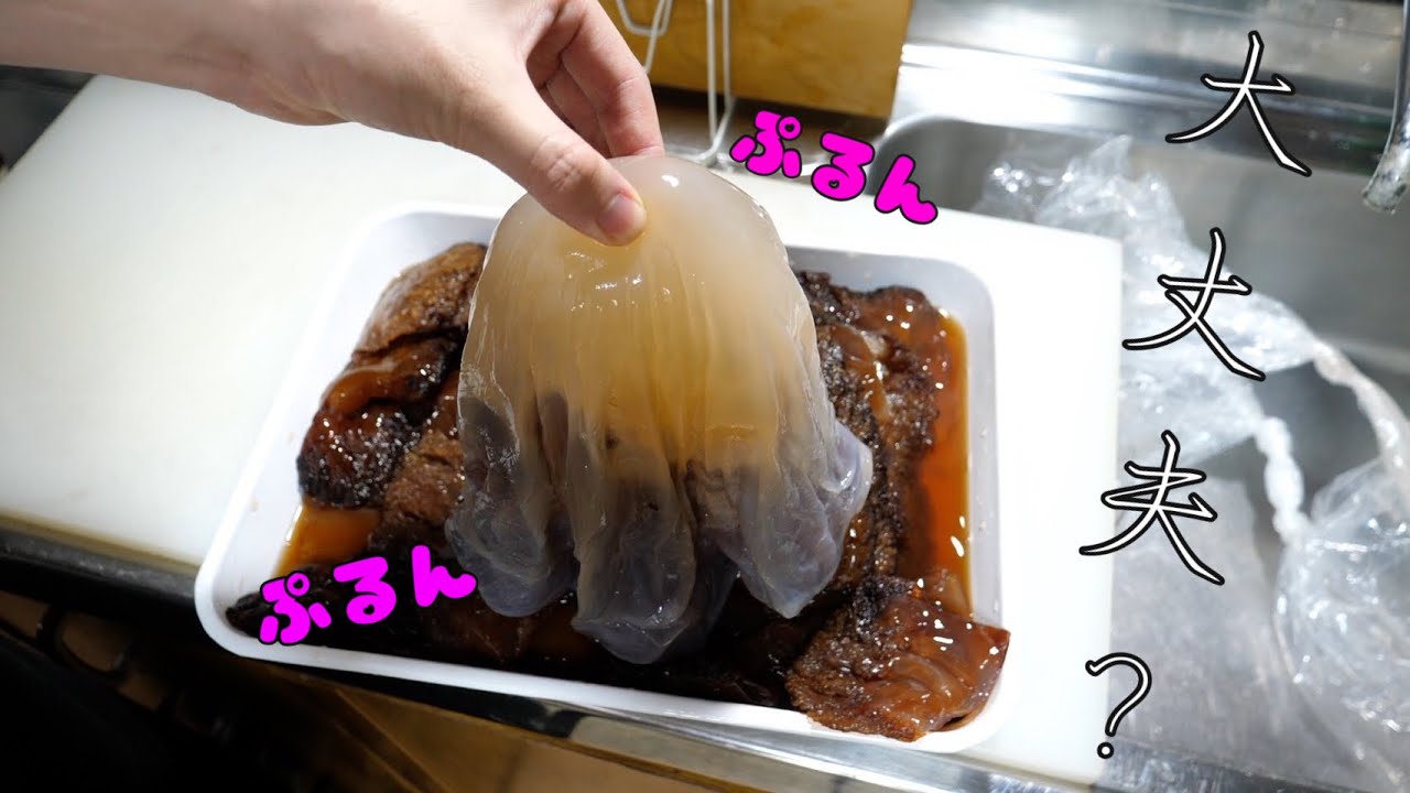 毒は無いの？？激レアな【クラゲ】が手に入りました！特殊調理食材です。