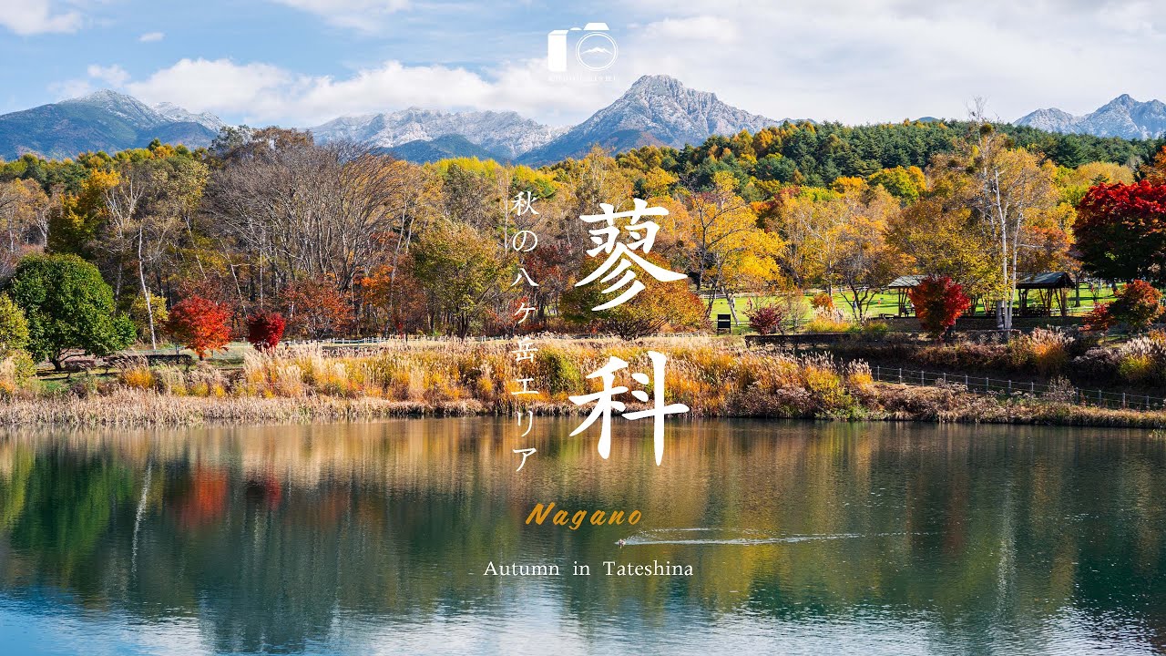 【紅葉見頃】時を忘れる美しさ。長野の紅葉と水面の絶景撮影｜蓼科・原村・八ヶ岳エリア