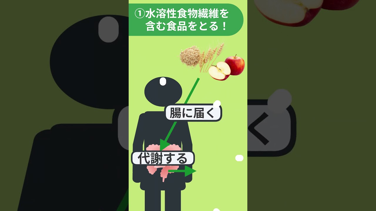 糖尿病予防・改善に！良い腸内細菌を育む秘訣３選！【糖尿病とフットケアの専門チャンネル】