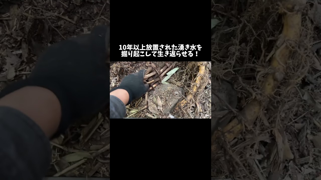 10年以上放置された湧き水を掘り起こして生き返らせる！ #shorts