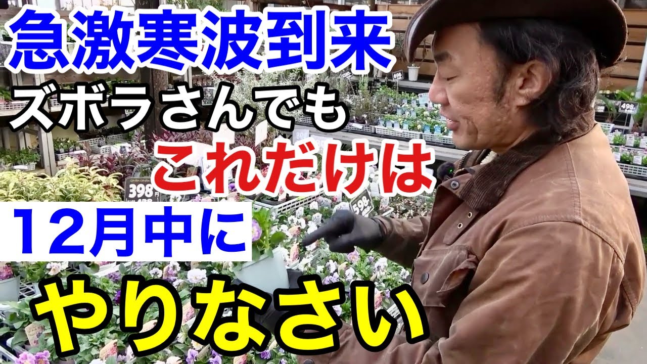 【上旬から冬】12月今すぐやるべき園芸作業教えます　　【カーメン君】【園芸】【ガーデニング】【初心者】