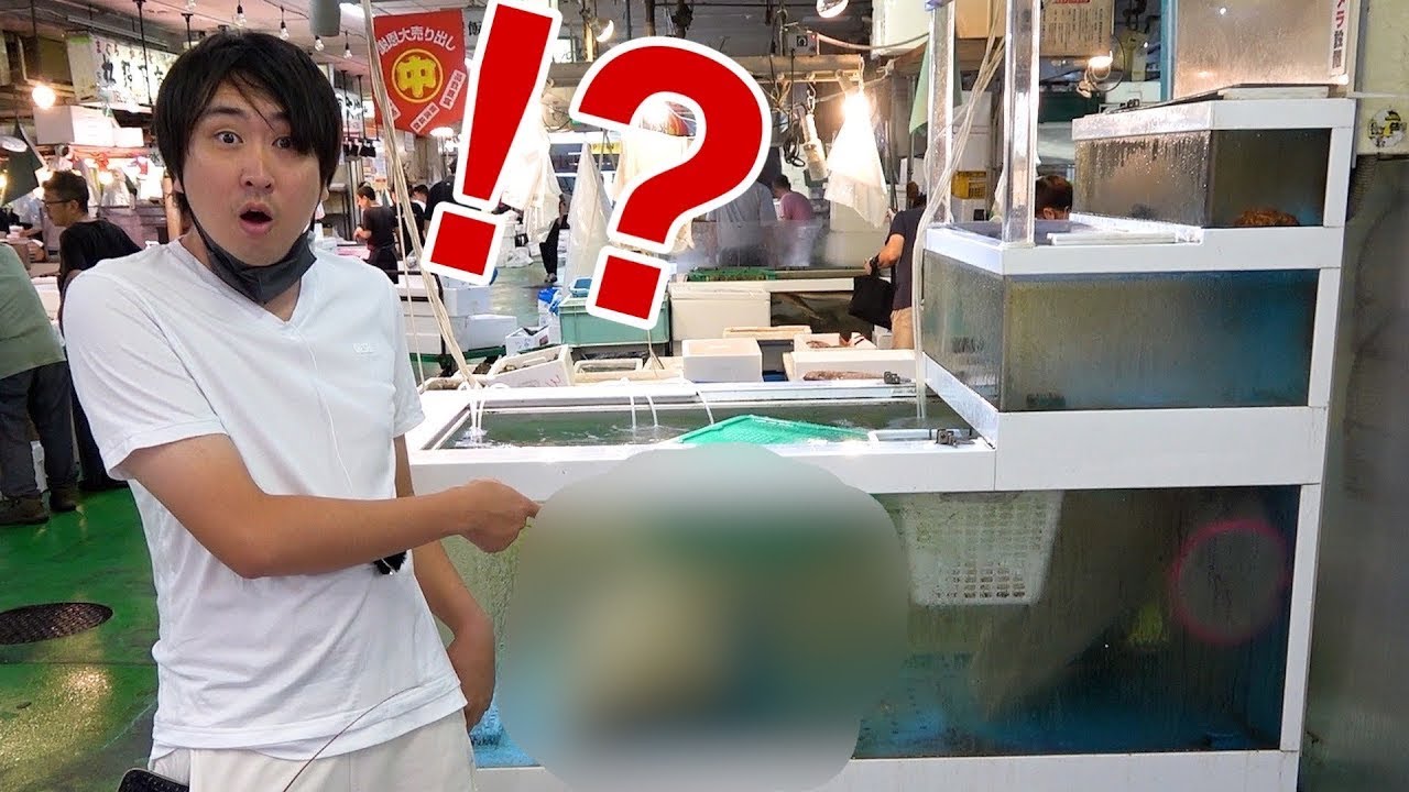 この中で一番高いさかなをください！！！！！！