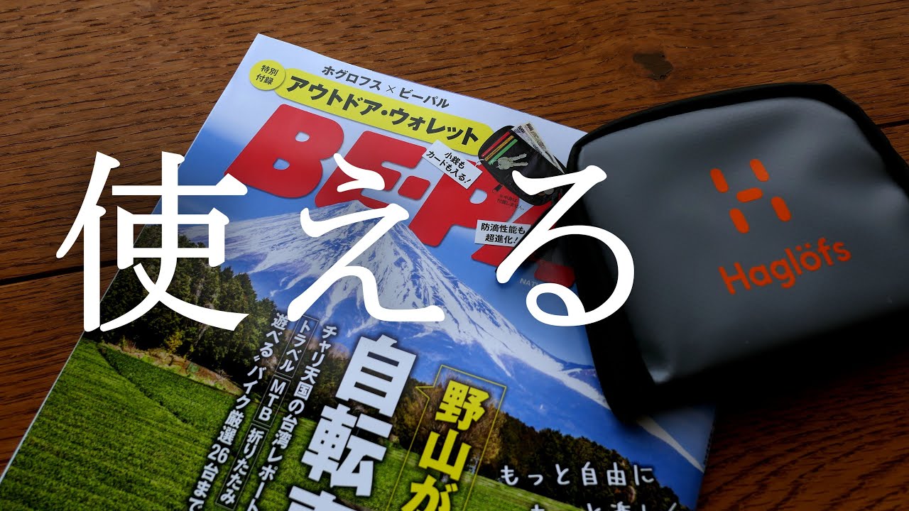 BEPAL6月号付録 開封と少し手を加えた、良いやん！