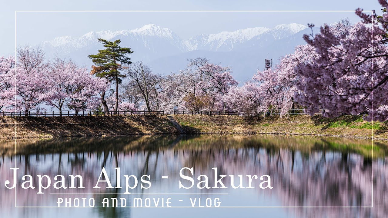 【六道の堤】中央・南アルプスを望む絶景の貯水池 | JapanAlps Sakura | Vlog