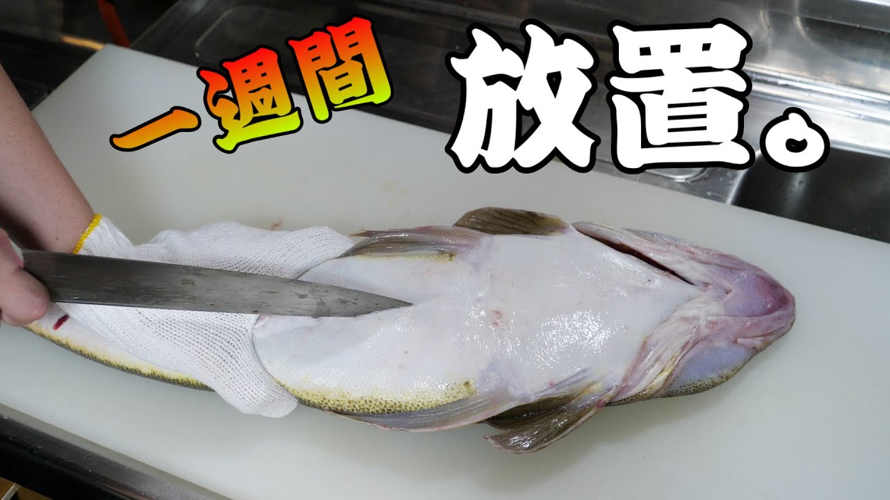 『夏のフグ』と呼ばれる、さばく難易度SSクラスのワニにような魚『マゴチ』を熟成して食べるよ！