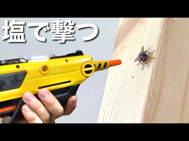 塩を撃ち出して虫を駆除する銃"バグアソルト"を使ってみた