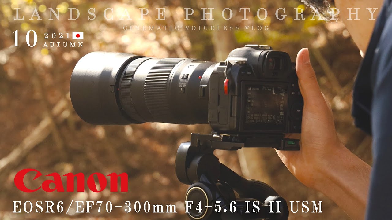 【EOSR6・EF70-300mm f4-5.6 IS II USM】秋の写真 | Autumn Photography | 4K