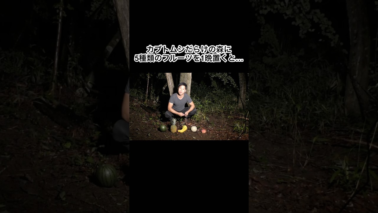 カブトムシだらけの森に5種類のフルーツを1晩置いてみた結果…！ #shorts