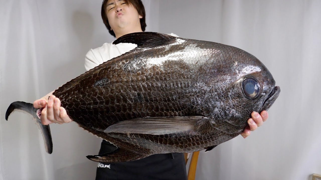 全身鋼鉄のような、謎すぎる魚『エチオピア』をさばいて、食べてみたら味が完全にアレでした。