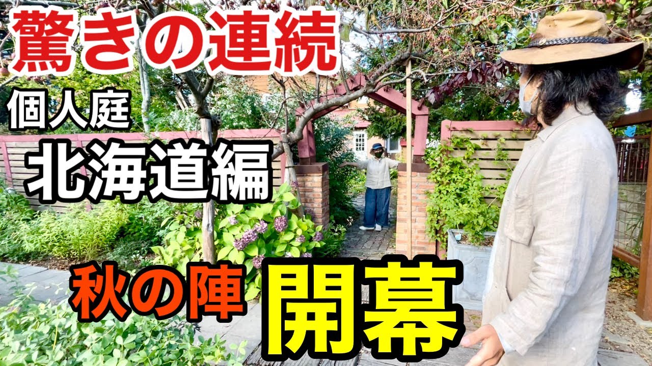 【待望の秋庭】 北海道の個人庭が今ヤバいのです　　　【カーメン君】【園芸】【ガーデニング】【初心者】【梅木あゆみ】