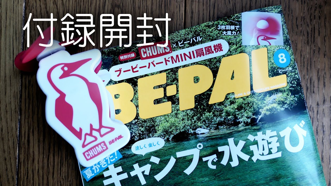 BE-PAL 8月号　付録開封