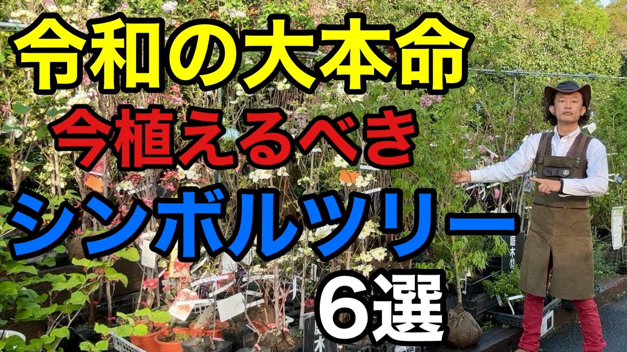 【隣と差がつく】 誰もが羨むスリーランク上のシンボルツリー教えます　      【園芸】【ガーデニング】【初心者】