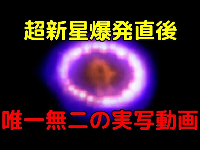 現代人が唯一間近で見れた超新星の「実写動画」がヤバすぎる