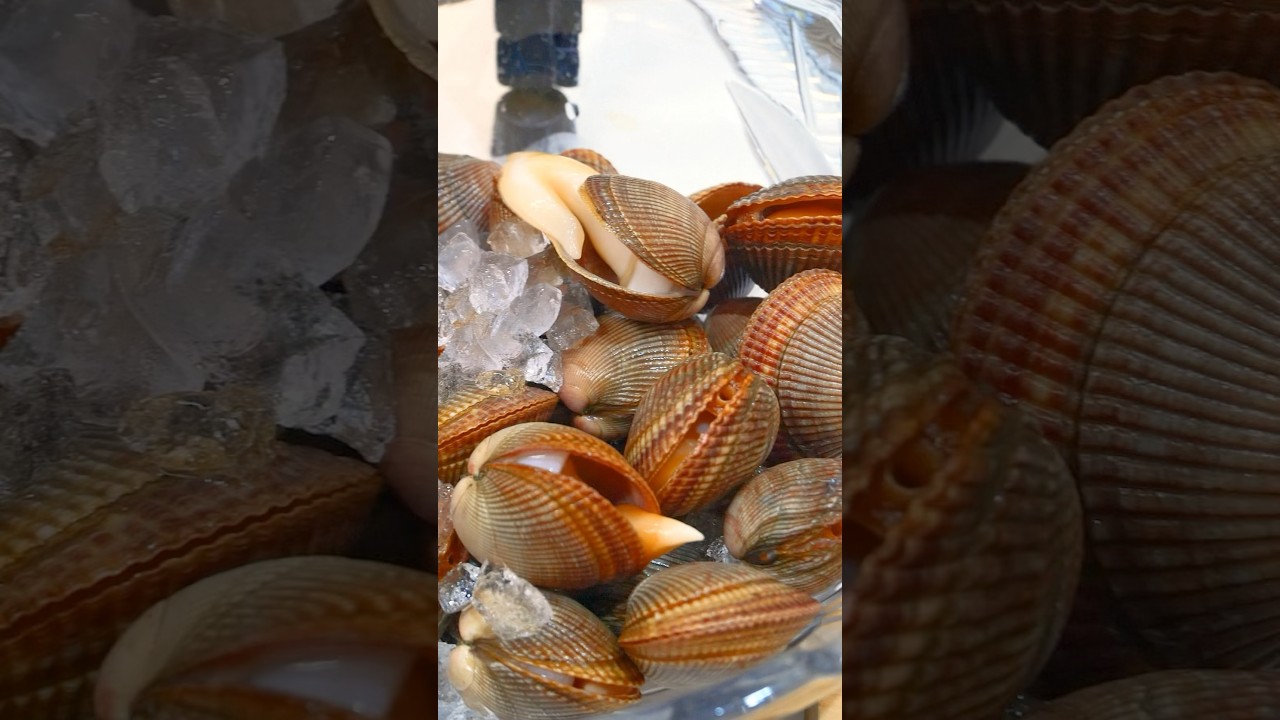 謎の貝【イシカゲ貝】さばいてみた。