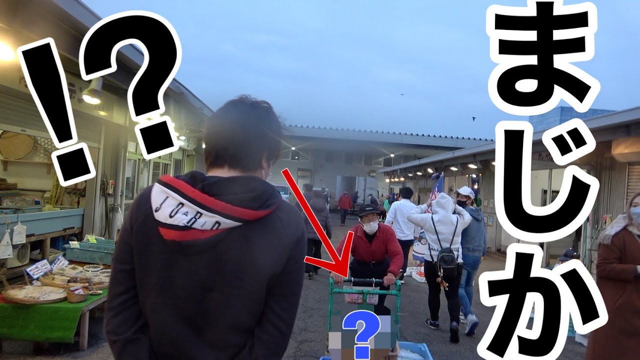 【朝4時】朝市から帰ろうとしたら奥からスゲェ魚が登場。衝動買い。