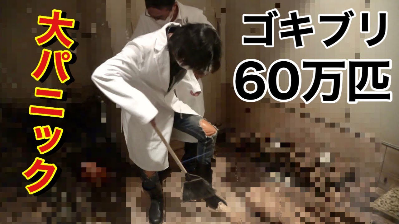 【捨て身の検証】60万匹のゴキブリの部屋に入ります　【カーメン君】【園芸】【ガーデニング】【プロトリーフ】