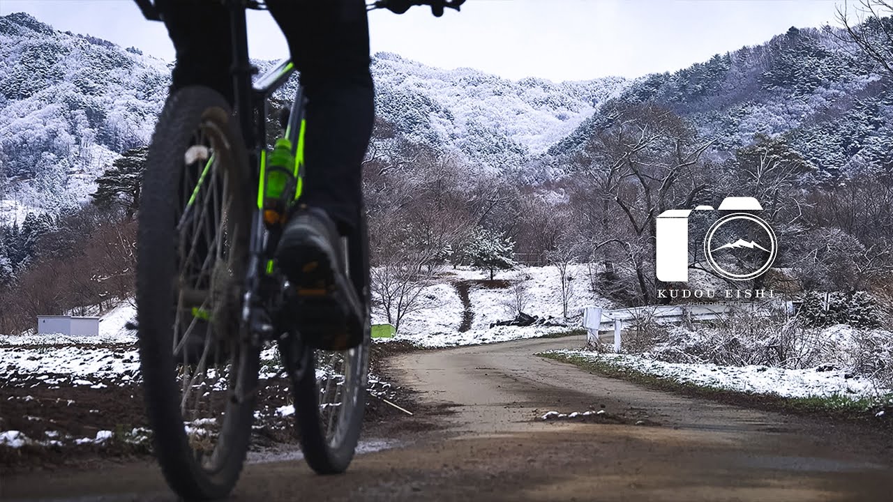 【風景写真】降雪後の凍てつく春の花