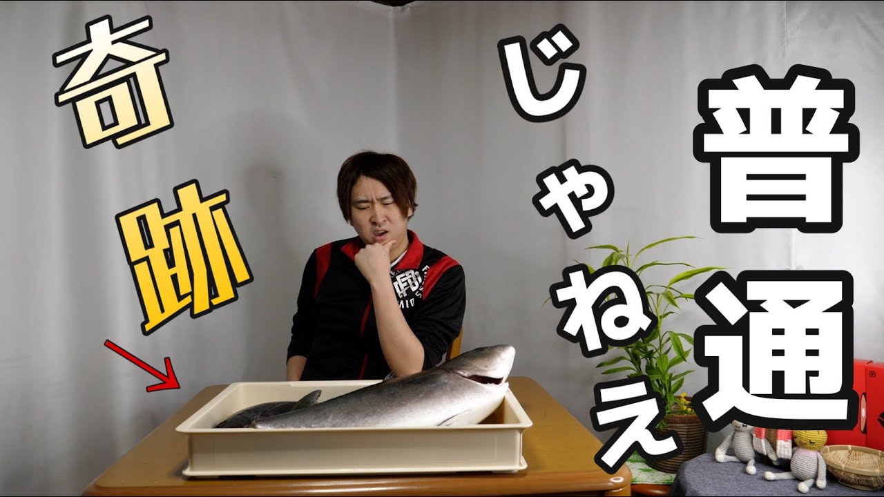 【ハイブリッド魚】奇跡の魚が二匹同時に入りました。