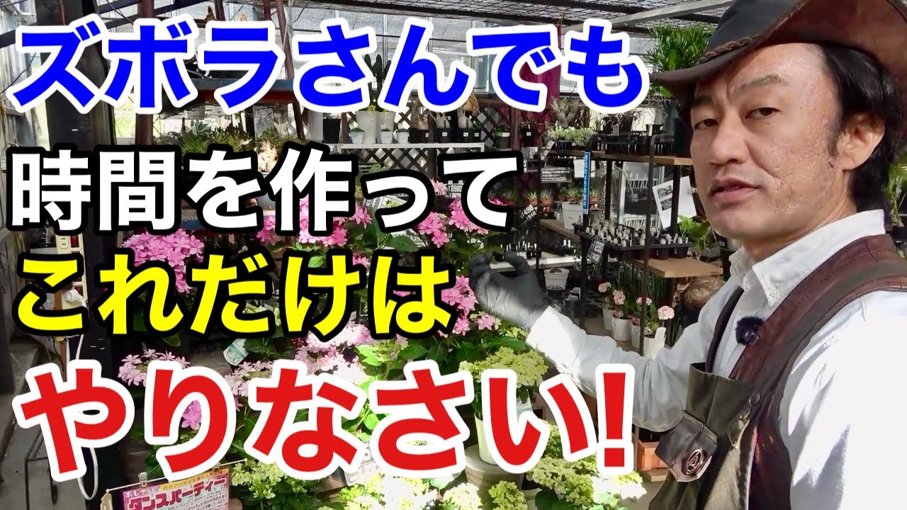 【5月中】最低限の作業をやっておかないと大変な事になります　　　　　　　　　【カーメン君】【園芸】【ガーデニング】【初心者】