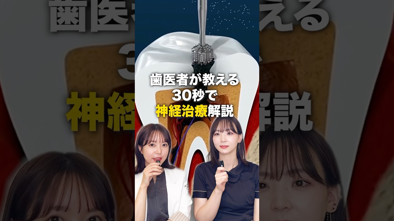 虫歯の神経治療って何をしているの？