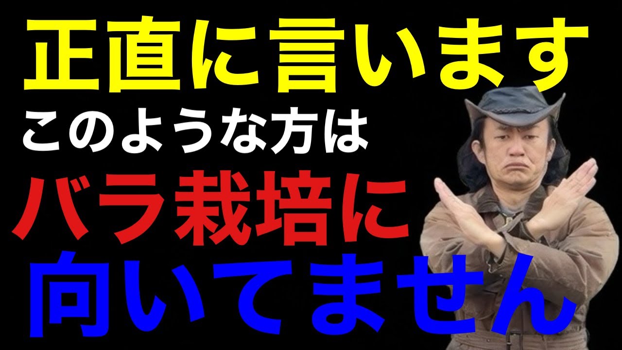 【後悔する前に】バラ栽培に向かない人の特徴7選　　