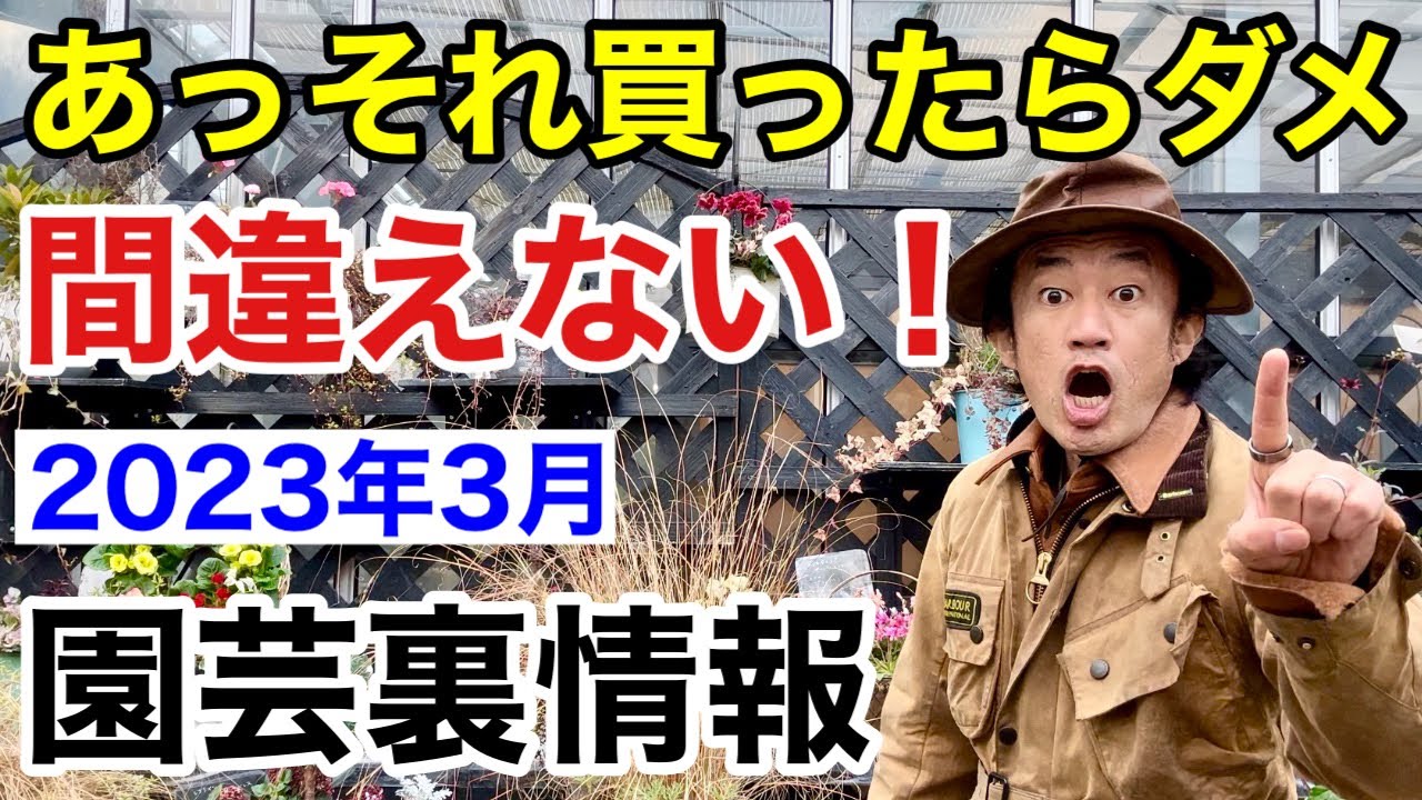 【元店長がばらす】2023年3月の買っていい買わなくていい植物教えます       【カーメン君】【園芸】【初心者】