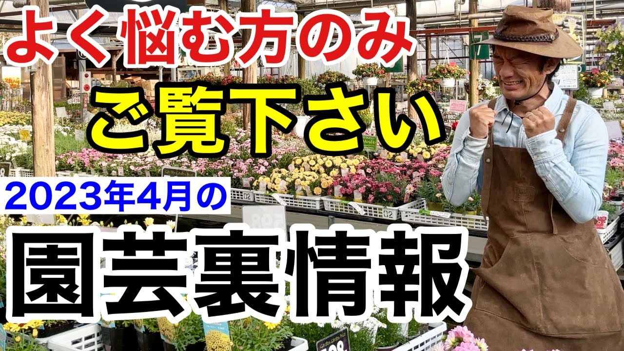 【元店長がばらす】2023年4月　確実に損しない買い物のコツ教えます　　　　　　【カーメン君】【ガーデニング】【初心者】