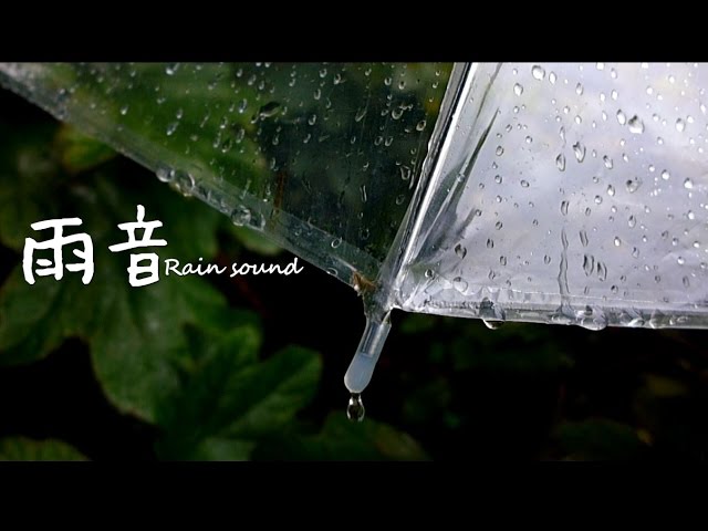 雨音　Rain sound